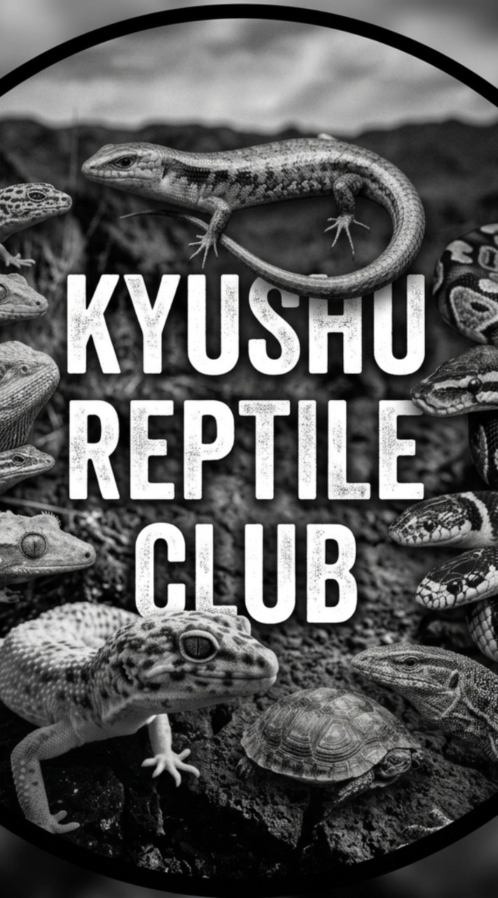 KYUSHU REPTILES CLUB🦎🐸🐊🐢🐍