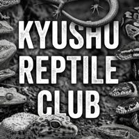 KYUSHU REPTILES CLUB🦎🐸🐊🐢🐍