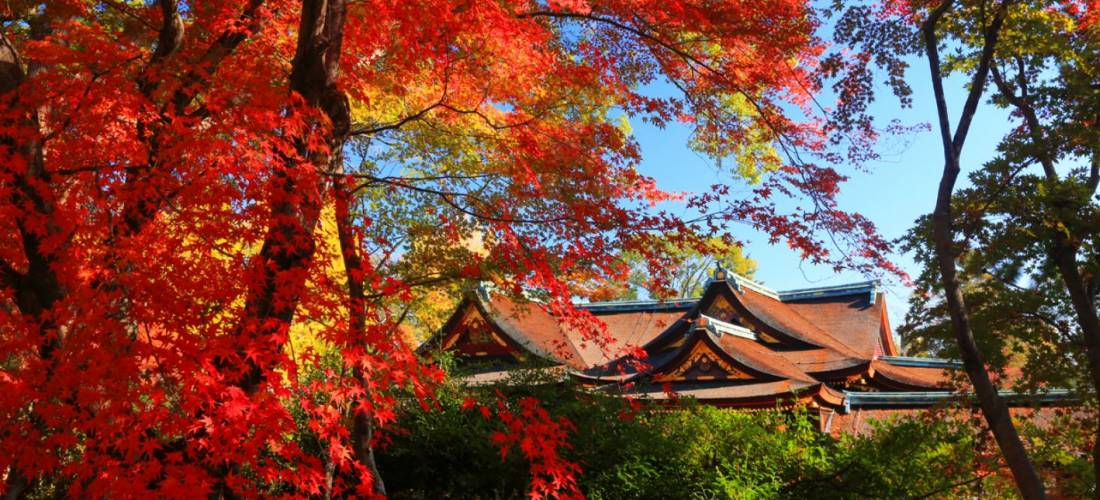 19日本全國紅葉特集 關西 京都人氣景點北野天滿宮 Japankuru日本酷樂 Line Today