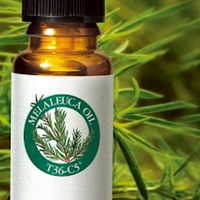 Melaleuca is honored🏆