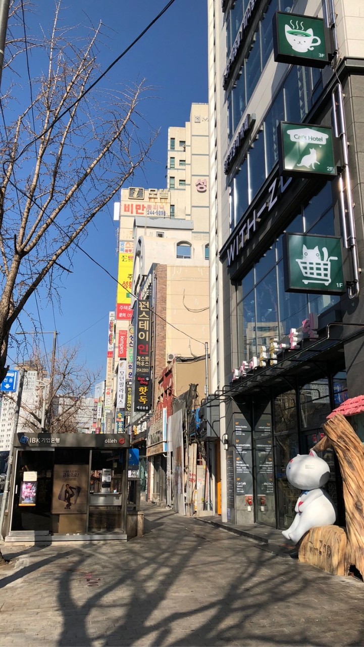 YoBo好好買🇺🇸（美日韓）🇰🇷