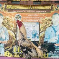 ซุ้ม สามตอ🐓