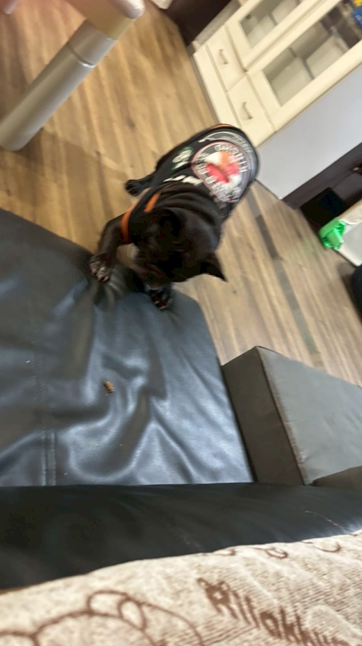 垢入り冒険隊