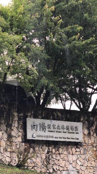 TR9向陽預約接駁