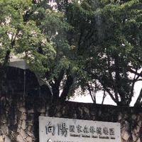 TR9向陽預約接駁
