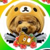 ブチギレといぷーどる🐶💢