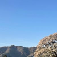 岡山40代50代  ランチ 飲みカラオケ