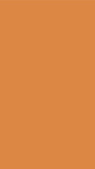 Orange 🧡