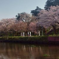 ぷにぷに雑談まな板