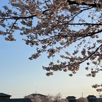 キズナバ卒所生食事会