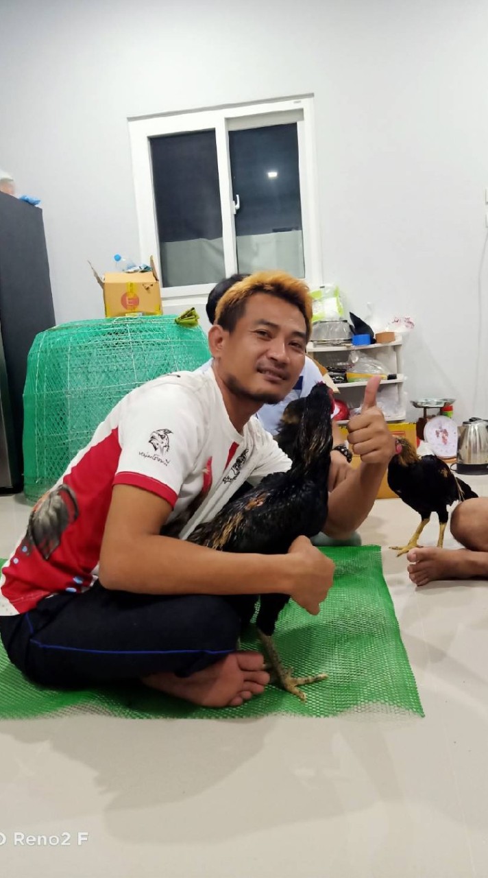 ไก่ชนออนไลน์