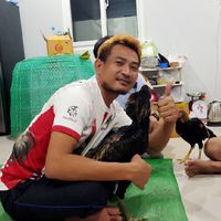 ไก่ชนออนไลน์