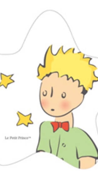 ⭐️星の王子さま⭐️