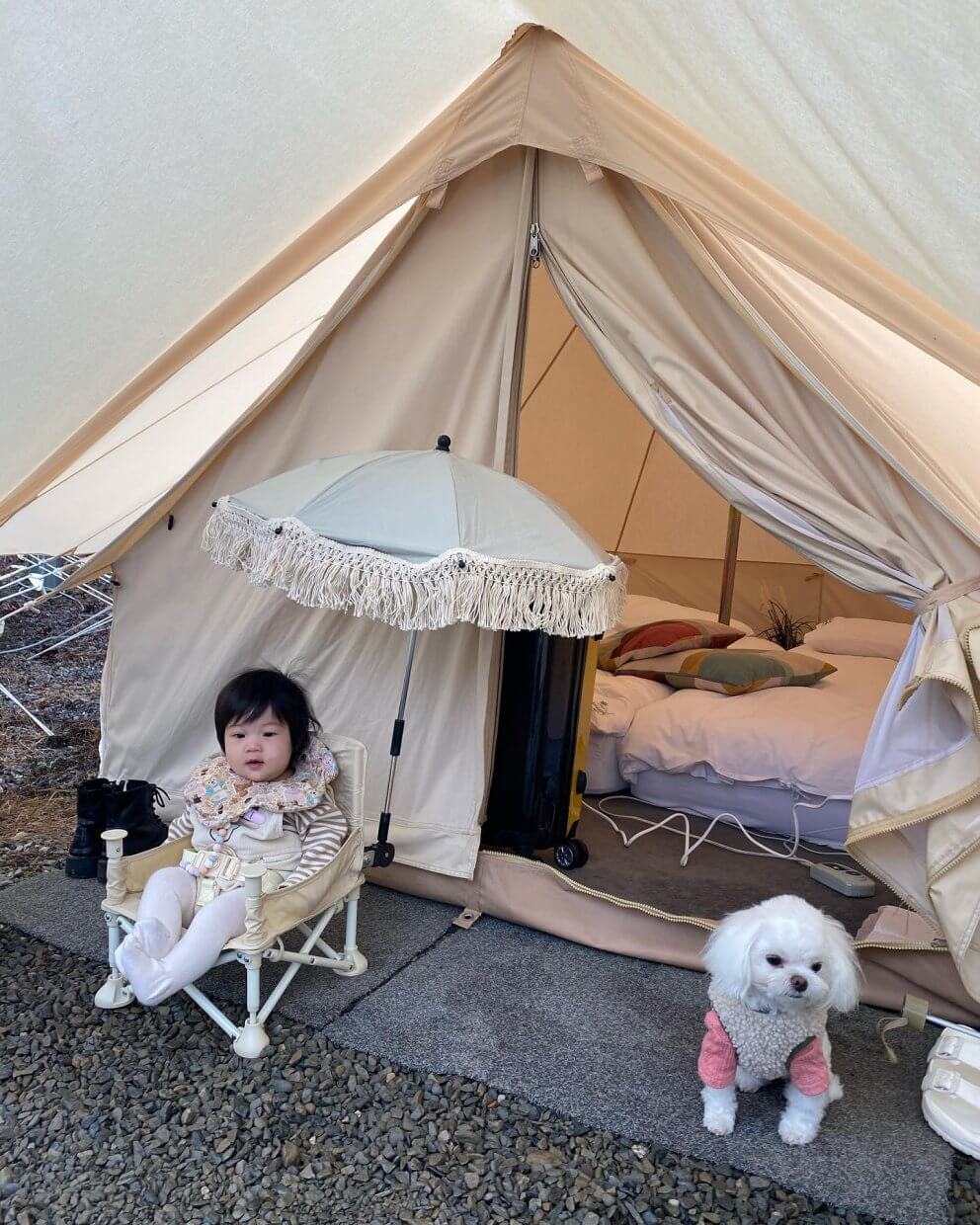 328596056 594714485810118 2115826284140617120 N