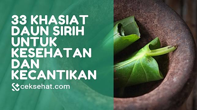 33 Khasiat Daun Sirih Untuk Kesehatan Dan Kecantikan Ceksehat Line Today