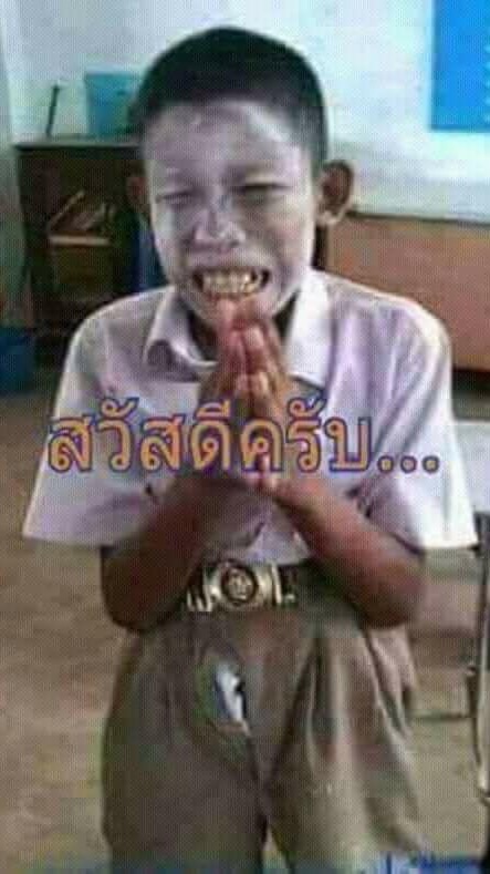 หมาบ้า