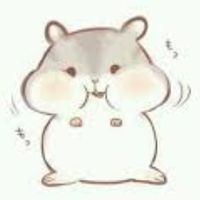 討論老鼠區