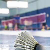 洋²羽球訓練18+班🏸