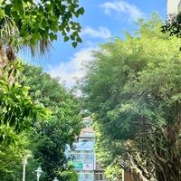 114學年秀朗國小310班群