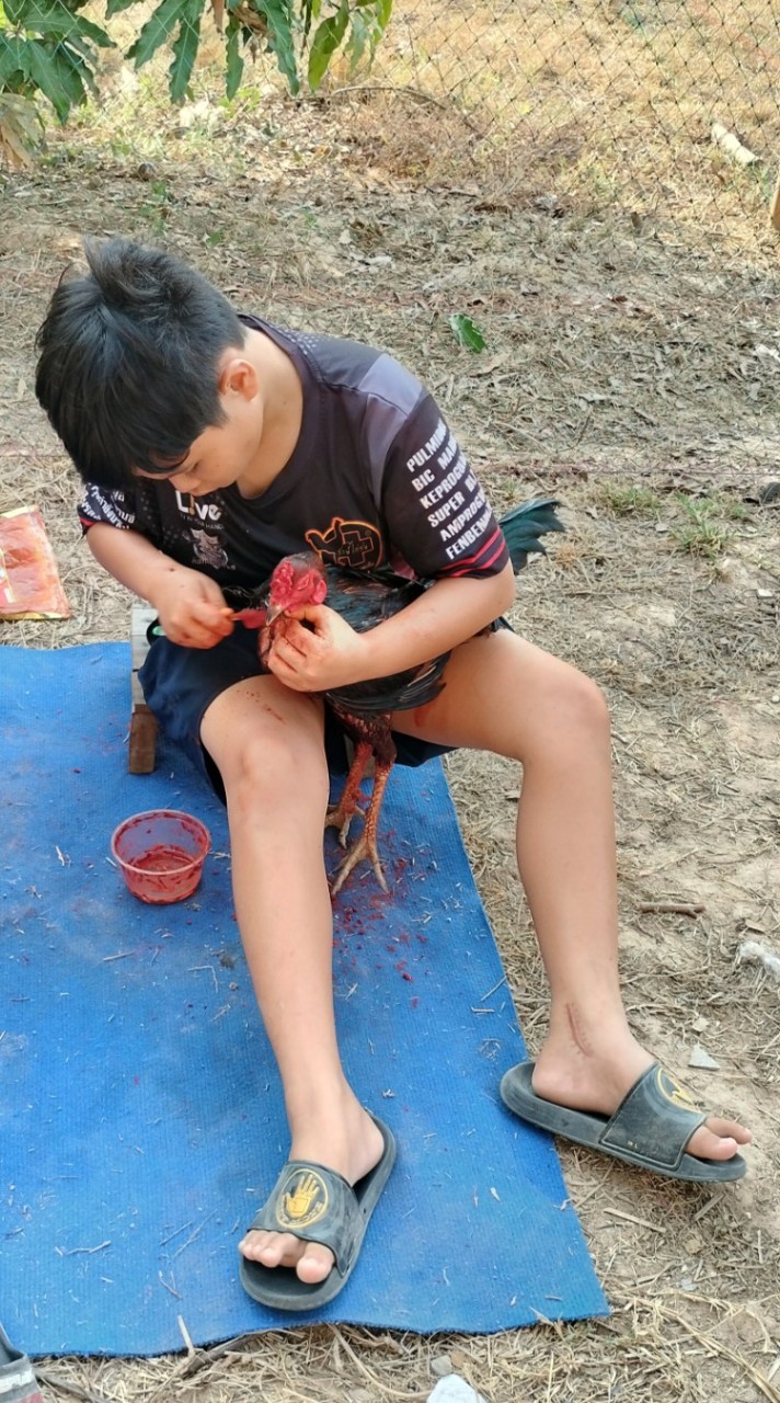 น้องไอคิววารีเทพ