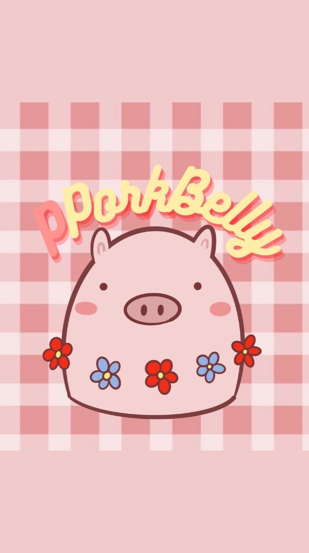 🇰🇷粉嫩五花肉 韓國代購 🐖💨