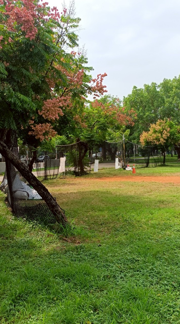 ⚾🥎南高雄棒壘球大聯盟