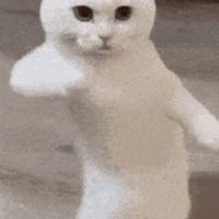 人類的發瘋群~//抽象//素材//頭像