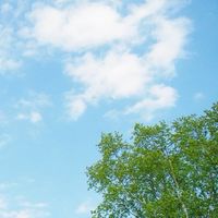 中学一年生集合〜
