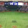 野球情報交流会