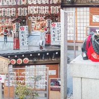 京都景點推薦【錦天滿宮】向日本版文昌帝君-菅原道真學問之神祈求學業進步