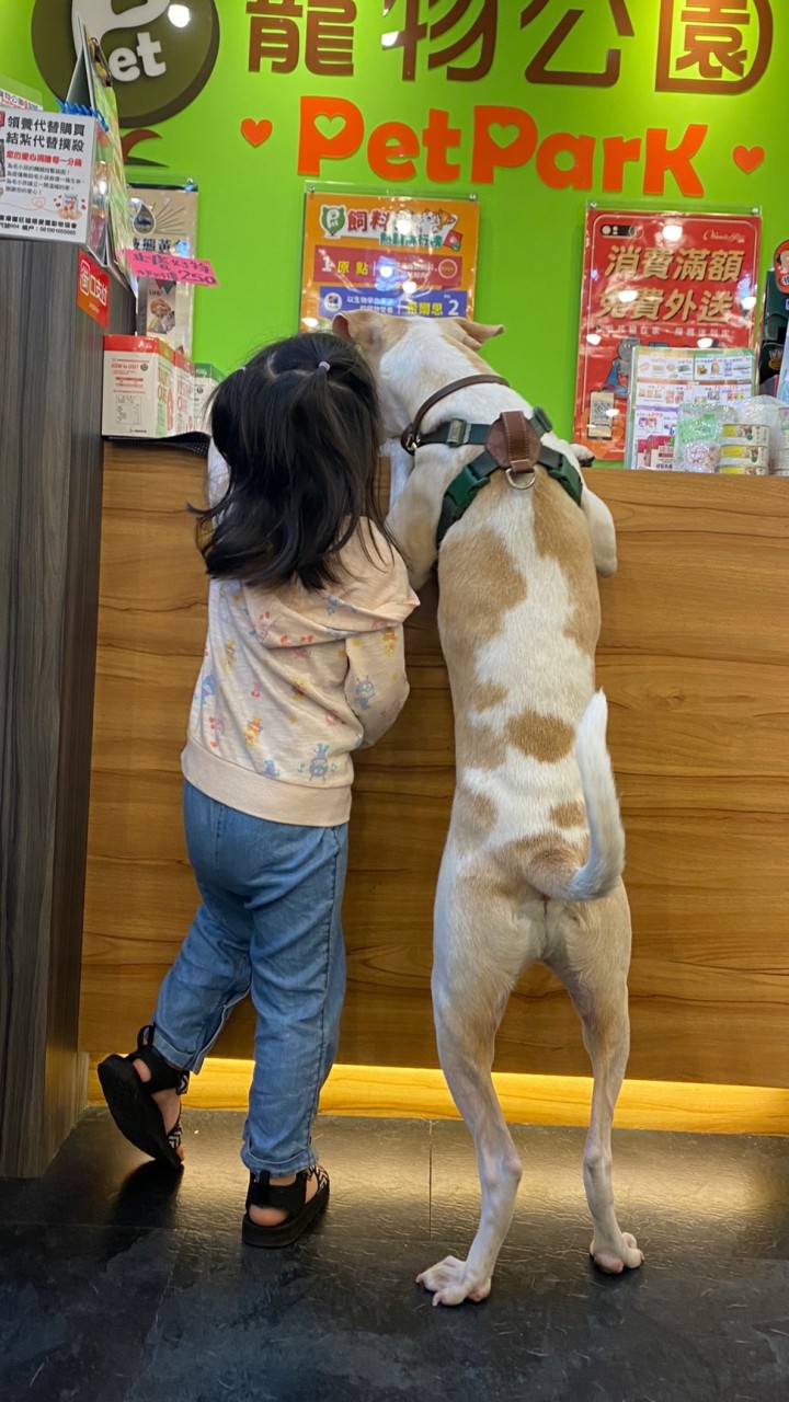 西門店大小事討論