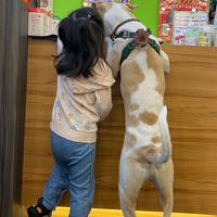 西門店大小事討論