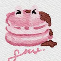SMR l Sugar Macarons