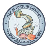 TF CHANNA 印尼/泰國雷龍進口