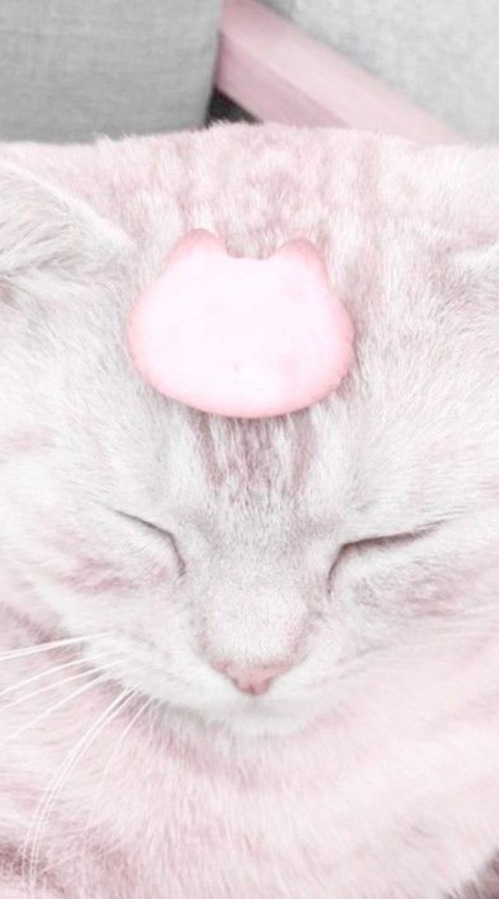 *୨กลุ่มของตกแต่ง୧*
