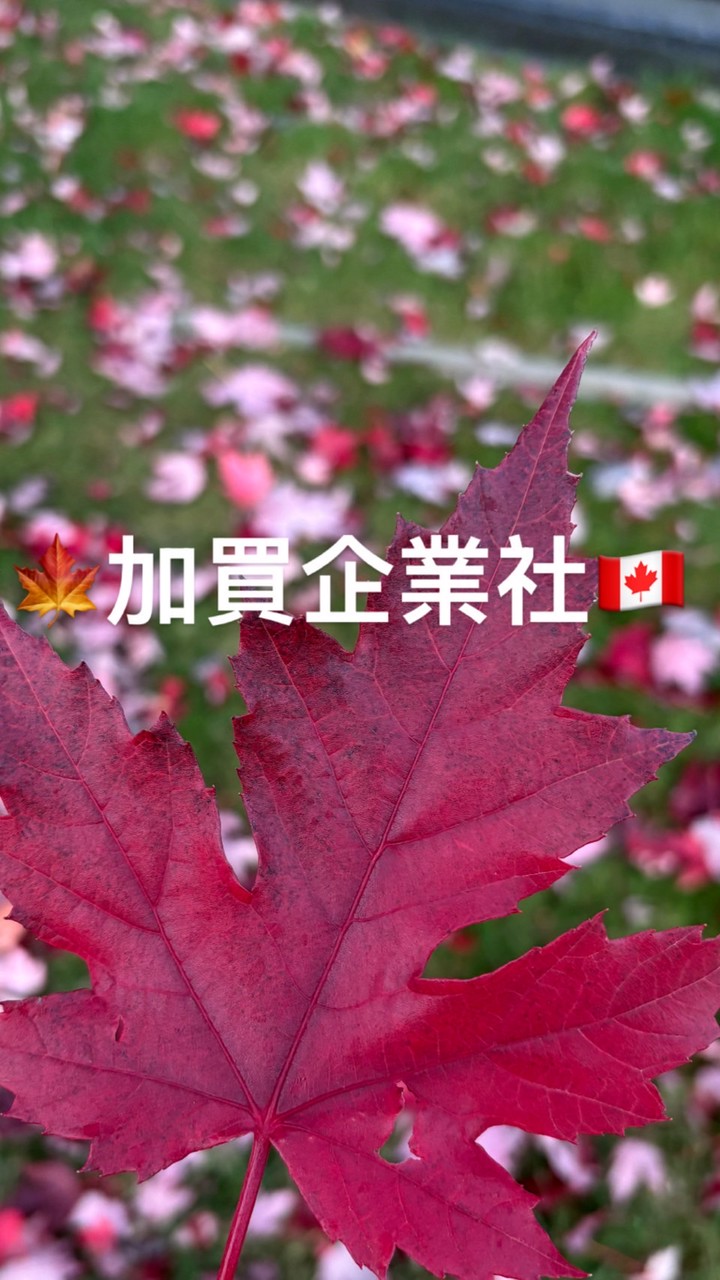 🇨🇦加買代購🍁✈️