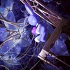 「 皆の 絶望 見せてくれる ？ 」　　prsk也　デスゲーム