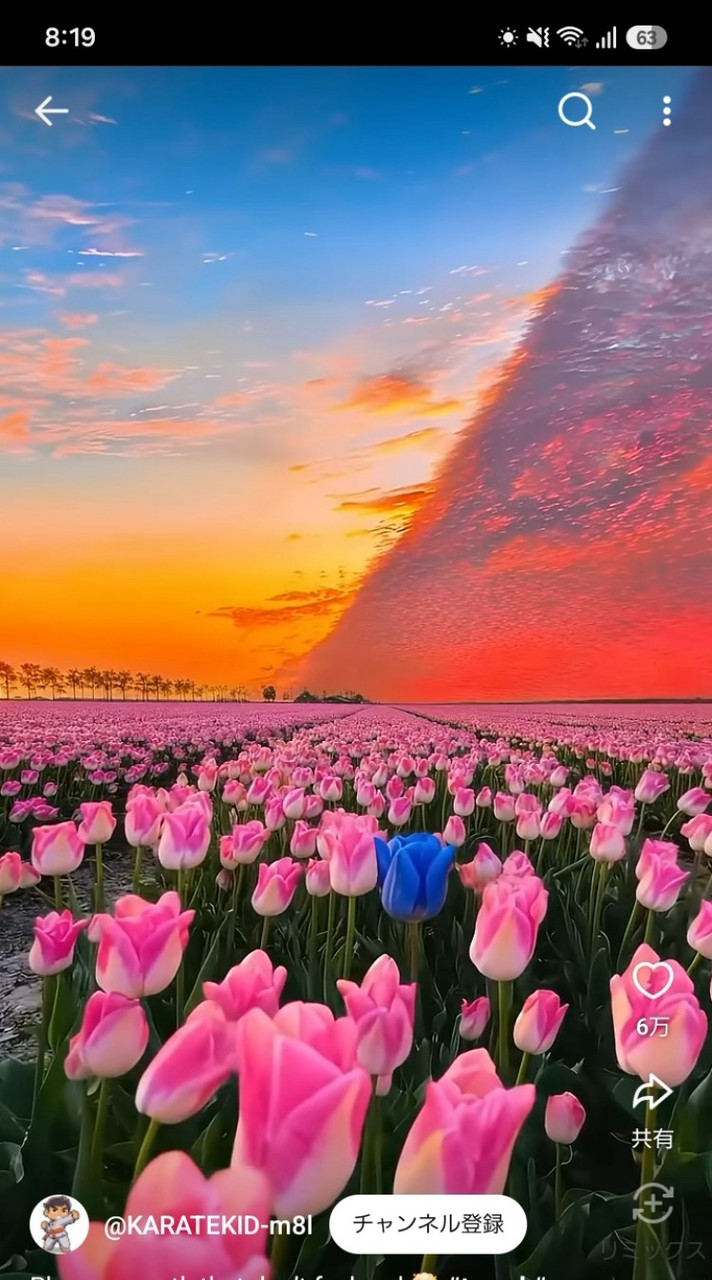 写真見せ合い(雑談やるかも)