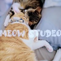 MEOW俱樂部