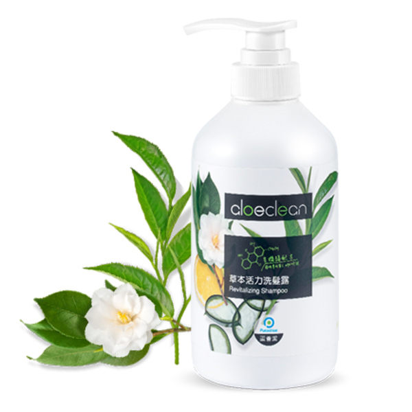 Paradise鮮之路 草本活力洗髮露500g 深層洗淨去油 頭皮護理 潤髮乳 洗髮乳 改善髮質 護髮 受損髮質