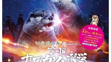 【全國水獺總選舉】帥氣水獺你見過未？