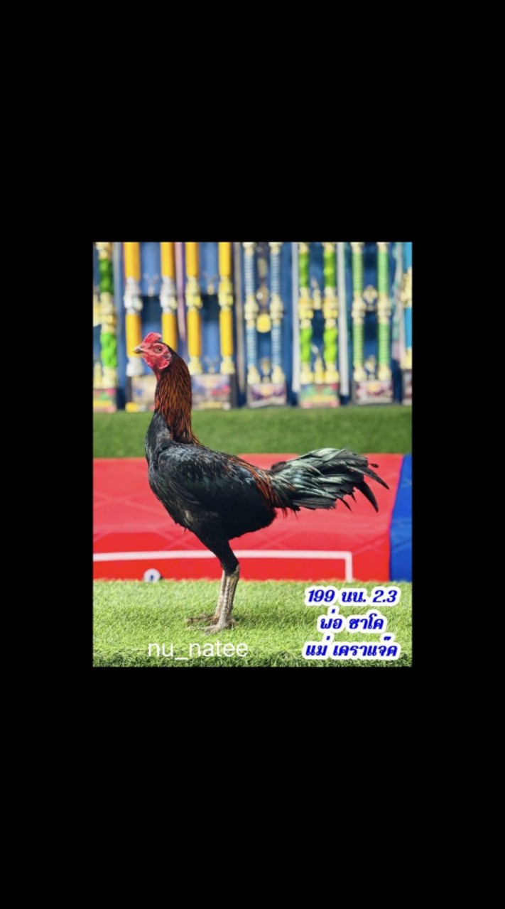 ทรัพย์บัญชาฟาร์ม