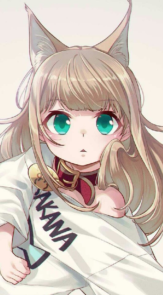 貼圖放送