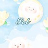 Sol戰隊