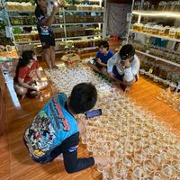 ปลากัดจักราช (ป๋ากั๊ดจักราช)