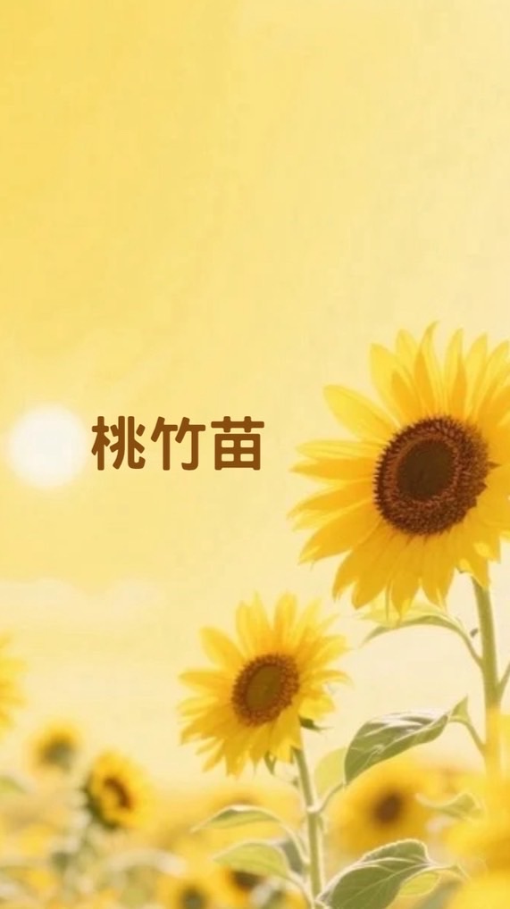 尋寶秘笈-桃竹苗