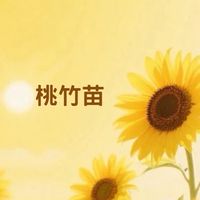 尋寶秘笈-桃竹苗
