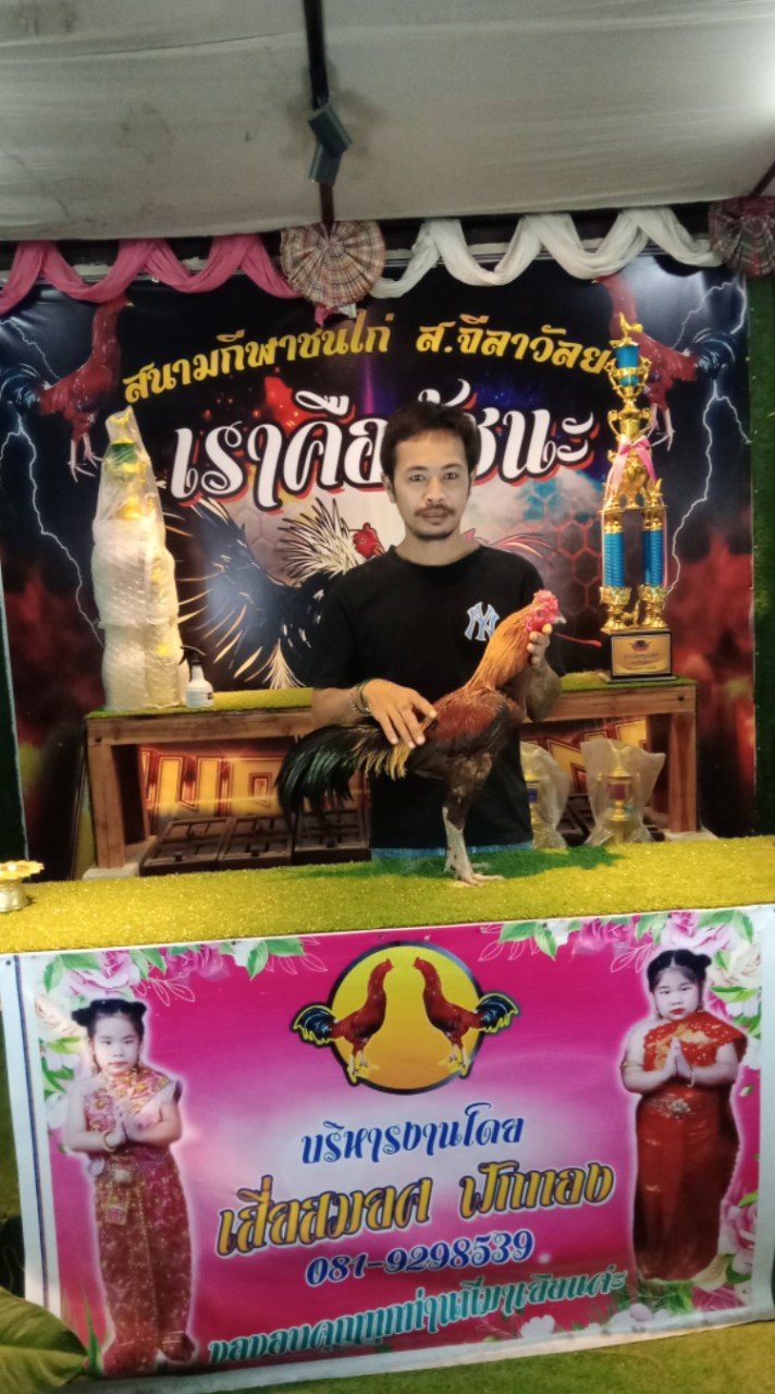 ช.โชคอำนวยฟาร์ม(สังกัด ป.ประกายเพชร)