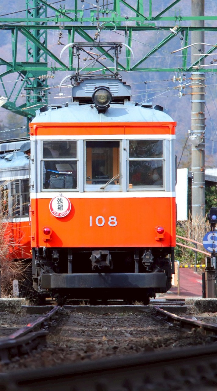 スジ公開