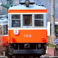 スジ公開